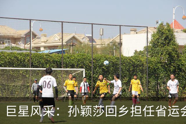 巨星风采：孙颖莎回乡担任省运会第六棒火炬手，河北卫视收视同时段第一