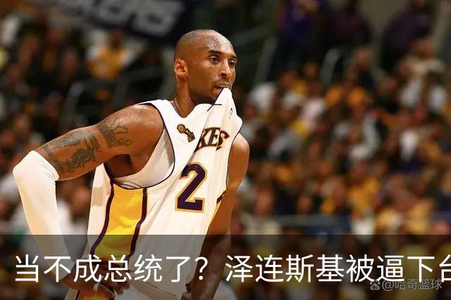 当不成总统了？泽连斯基被逼下台，一旦成真中国的粮价撑得住吗？