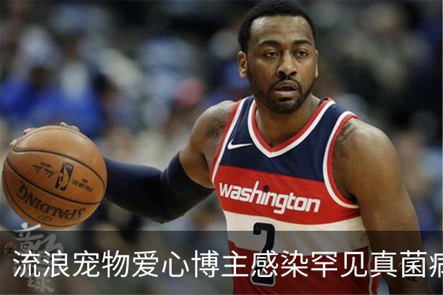 流浪宠物爱心博主感染罕见真菌病逝，年仅27岁，丈夫：妻子在ICU抢救了22天，她随时带着猫狗粮，走到哪里看到流浪猫狗都会喂