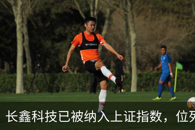 长鑫科技已被纳入上证指数，位列第一大权重股