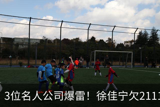 3位名人公司爆雷！徐佳宁欠2111万汪小菲欠400万，最后1位太意外