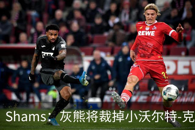 Shams：灰熊将裁掉小沃尔特-克莱顿&迈卡-皮维